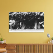 Honolulu, Hawaii - Der Wurstbaum Leinwanddruck (Insitu (Wohnzimmer))