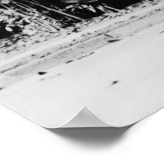 Honolulu, Hawaii - Der Wurstbaum Poster (Ecke)