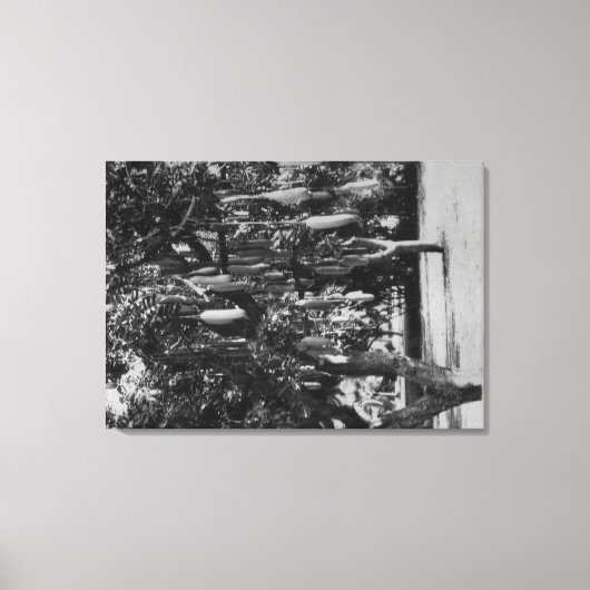 Honolulu, HI - Universität Hawaii Leinwanddruck (Vorderseite)