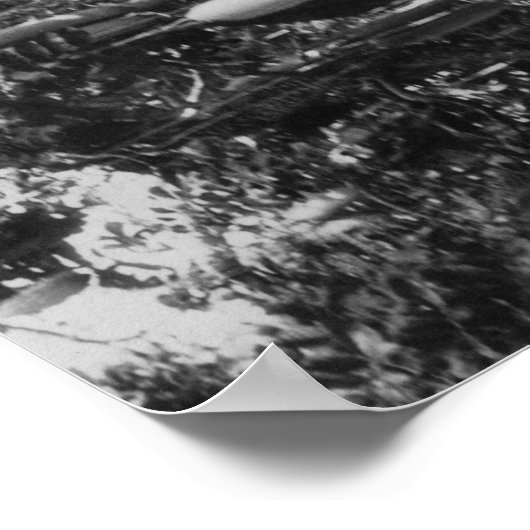 Honolulu, HI - Universität Hawaii Poster (Ecke)