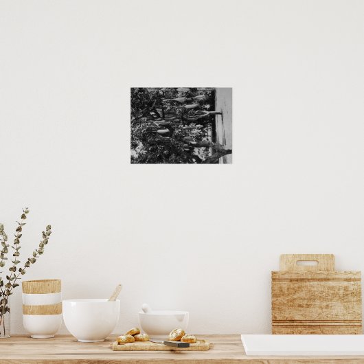 Honolulu, HI - Universität Hawaii Poster (Küche)