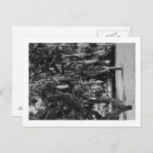 Honolulu, HI - Universität Hawaii Postkarte (Vorne/Hinten)