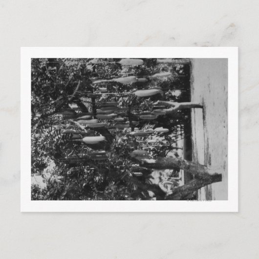 Honolulu, HI - Universität Hawaii Postkarte (Vorderseite)