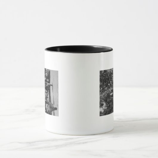 Honolulu, HI - Universität Hawaii Tasse (Zentrum)