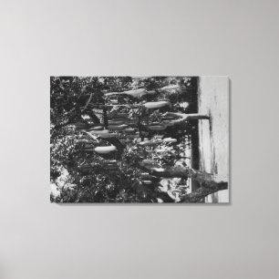 Honolulu, HI - Universität von Hawaii Leinwanddruck