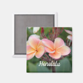 Honolulu Plumeria Magnet (Vorderseite/Rückseite)