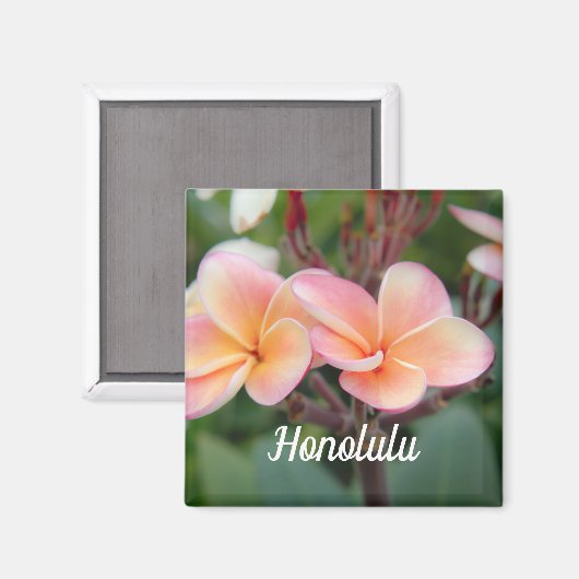 Honolulu Plumeria Magnet (Vorderseite/Rückseite)
