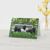 Honor Litter Bench Foto Karte (Gelbe Blume)