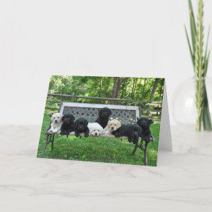 Honor Litter Bench Foto Karte