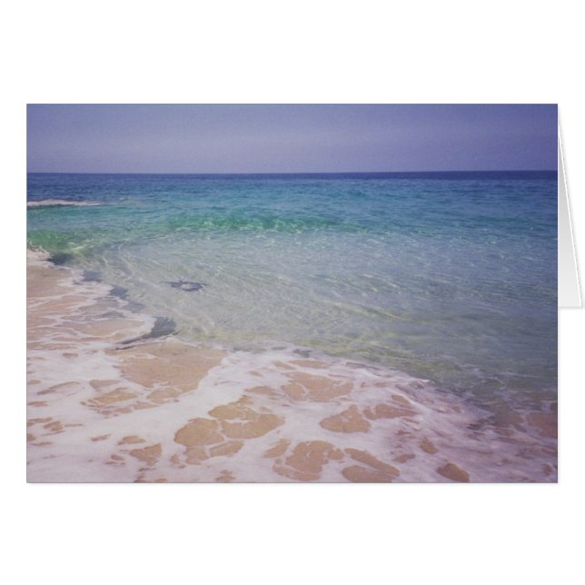 Honu am Strand von La a'Loa (Vorderseite (Horizontal))
