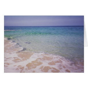 Honu an La a'Loa Strand