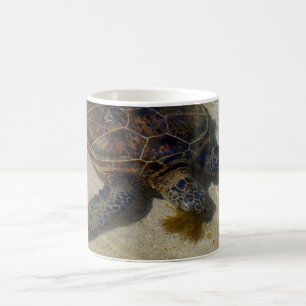 Honu Essen Limu Kaffeetasse