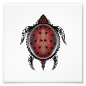 Honu Fotodruck (Vorne)