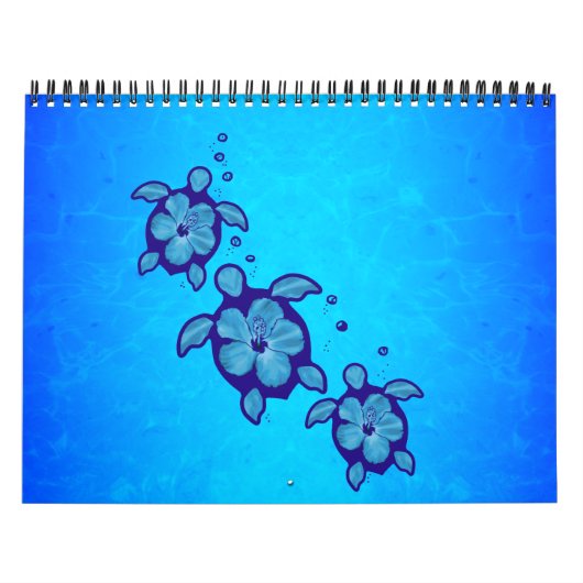 Honu Sea Turtles Kalender (Titelbild)