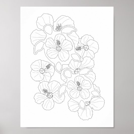 Honu Turtles Adult Coloring Poster (Vorne)