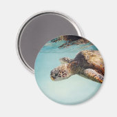 Honu von Marilyn Wear Magnet (Vorderseite/Rückseite)