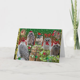 Hoo Hoo Hooo Frohe Weihnachten