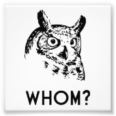 Hoo Wer Grammar Owl Fotodruck (Vorne)