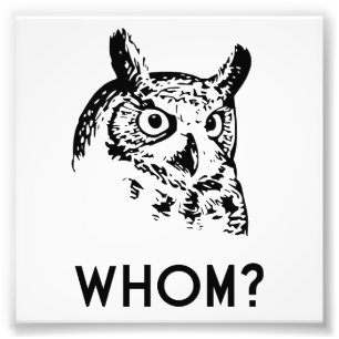 Hoo Wer Grammar Owl Fotodruck
