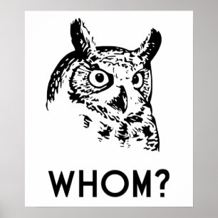 Hoo Wer Grammar Owl Poster