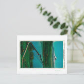 Hood and Interstate Bridge in White Lachs Postkarte (Stehend Vorderseite)