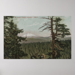 Hood, Oregon - Aussicht auf Berge aus der Ferne Poster