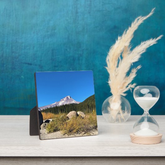 Hood, Oregon Fotoplatte (InSitu)