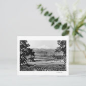 Hood vom Hood River Valley Fotograf Postkarte (Stehend Vorderseite)