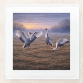 Hooded Cranes in Winter -  Glasuntersetzer (Vorderseite)
