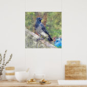 Hooded Crow of Ross Castle Irland Poster (Küche)