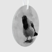 Hooded Crow Ornament (Vorderseite)