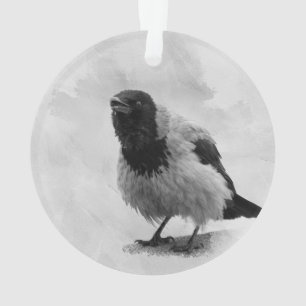Hooded Crow Ornament