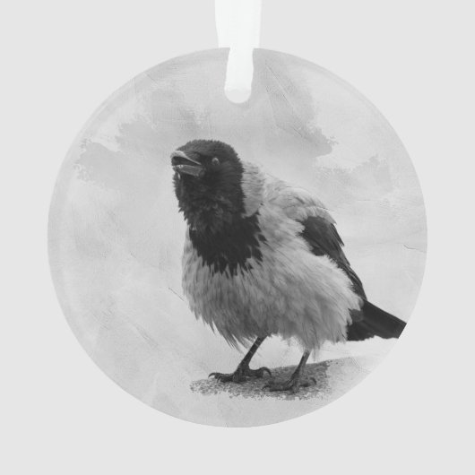 Hooded Crow Ornament (Rückseite)