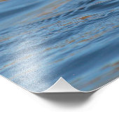 Hooded Merganser Calling Fotodruck (Ecke)