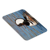 Hooded Merganser Calling Magnet (Rechte Seite)