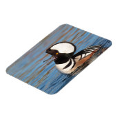 Hooded Merganser Calling Magnet (Linke Seite)