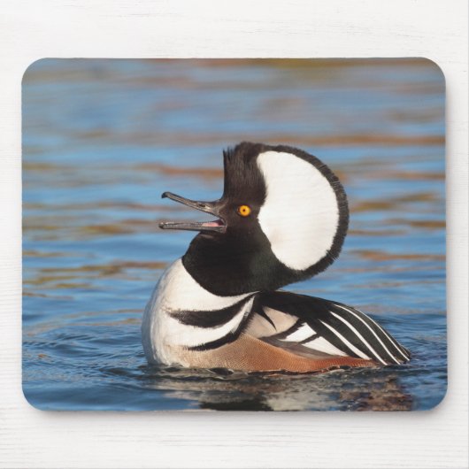 Hooded Merganser Calling Mousepad (Vorne)