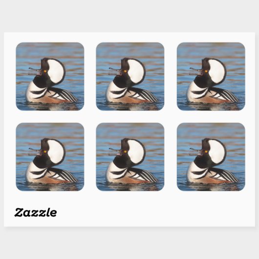 Hooded Merganser Calling Quadratischer Aufkleber (Blatt)