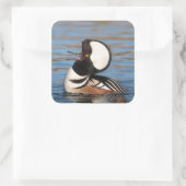 Hooded Merganser Calling Quadratischer Aufkleber (Tasche)