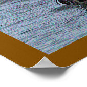 Hooded Merganser Duck Poster (Ecke)