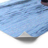 Hooded Merganser Duck Poster (Ecke)