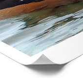 Hooded Merganser Duck Poster (Ecke)
