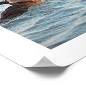 Hooded Merganser Ducks Poster (Ecke)