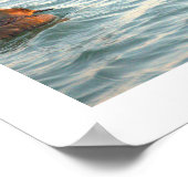 Hooded Merganser Ducks Poster (Ecke)