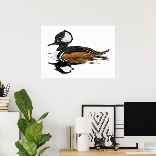 Hooded Merganser Poster (Heimbüro)