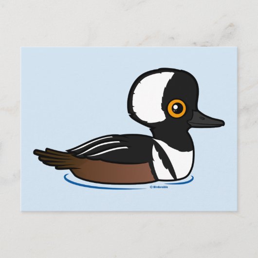 Hooded Merganser Postkarte (Vorderseite)
