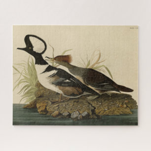 Hooded Merganser - von Audubons Vögeln Amerikas Puzzle