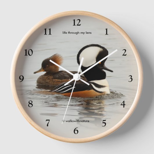 Hooded Mergansers: Ein fein gezapftes Paar Uhr (Vorderseite)
