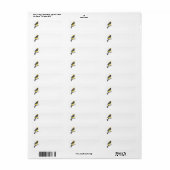 HOODED ORIOLE (Vorne)