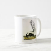 Hooded Skunk oder Großschwanzkunk aus Audubon Kaffeetasse (VorderseiteRechts)